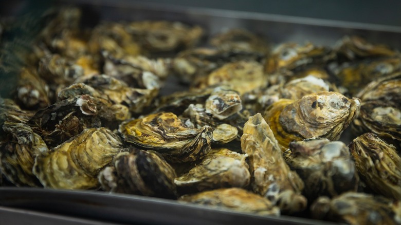 oysters on sheet pan