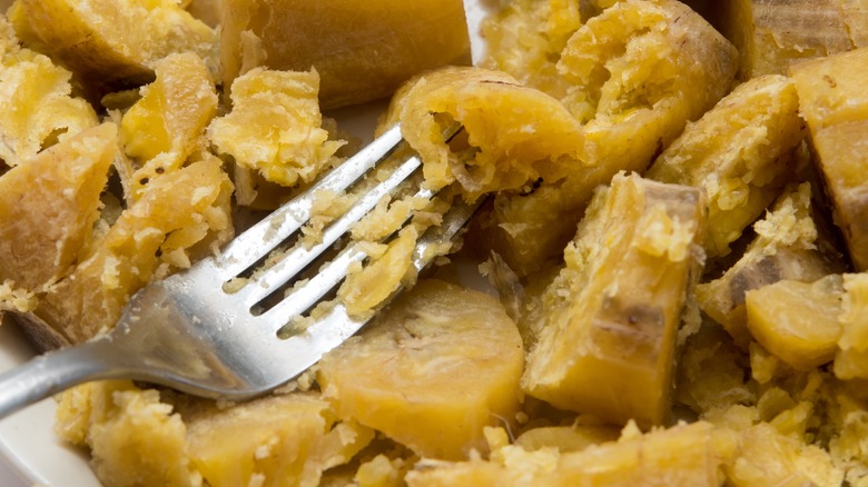 Mashing plantain with a fork