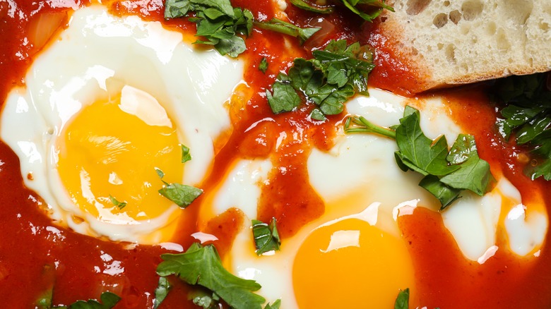 cooking shakshuka eggs close up