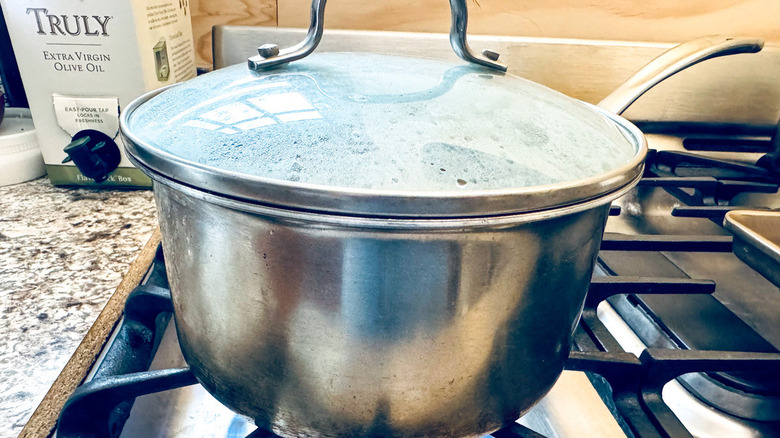 lidded metal pot on stove