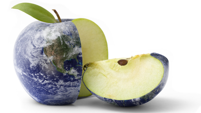 globe-printed apple