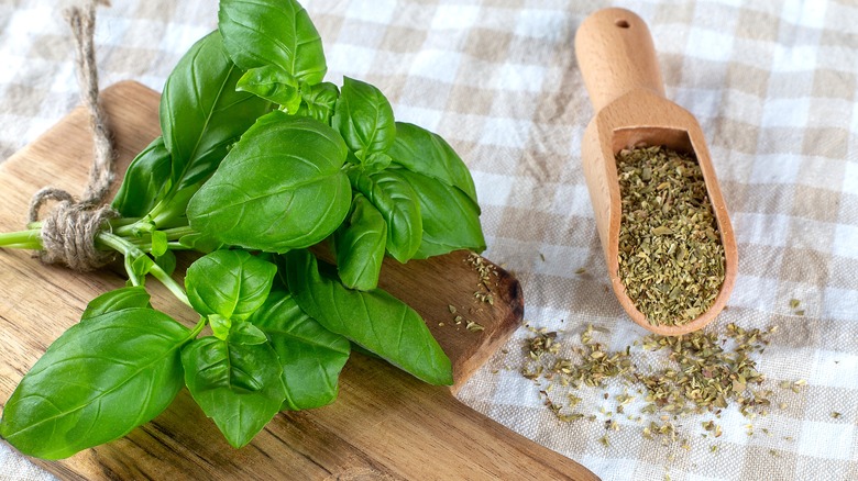 fresh and dried basil