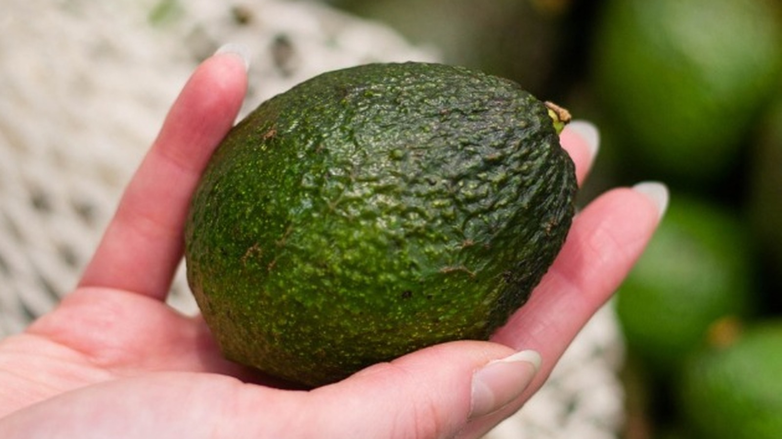 How To Store Ripe Avocados To Keep Them Fresh For Days