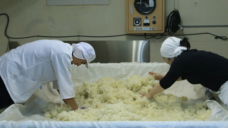 mixing koji mold into rice