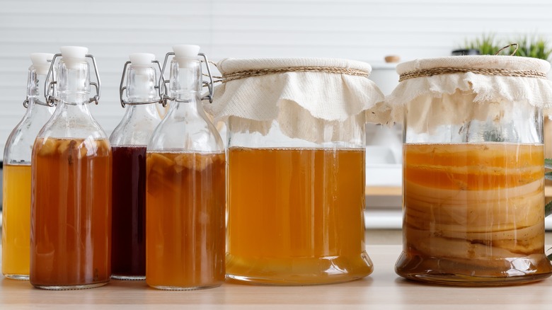 Homemade fermented kombucha in jars