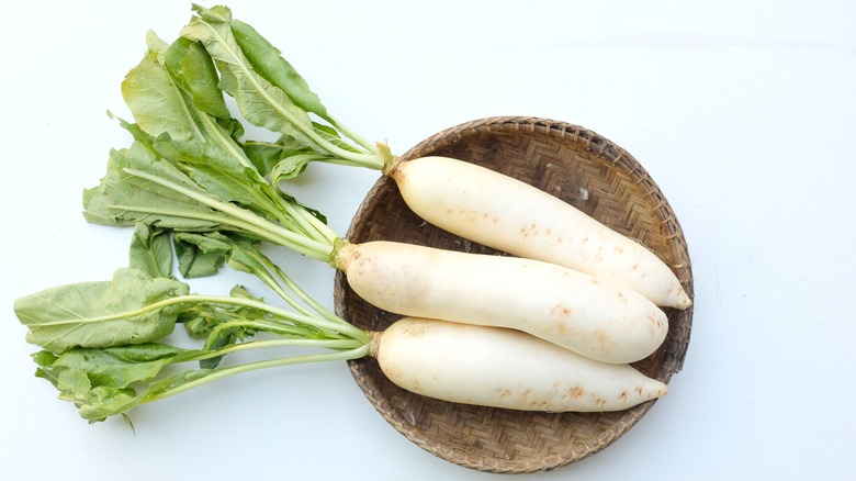 Daikon radish