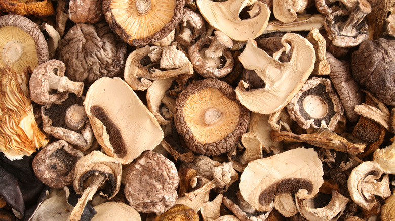 Variety of dried mushrooms