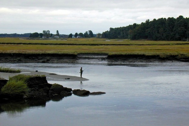 Scarborough Marsh