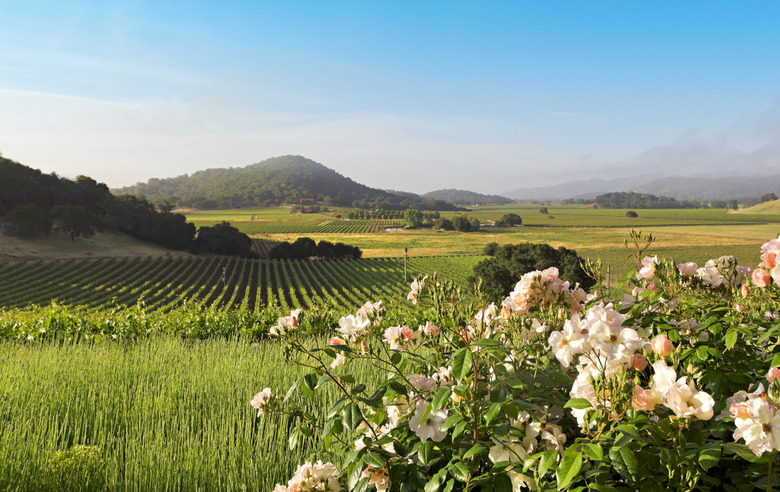 Napa Valley