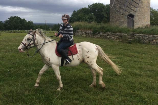 Horseback Riding