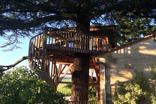 Luxury Tree House Suites