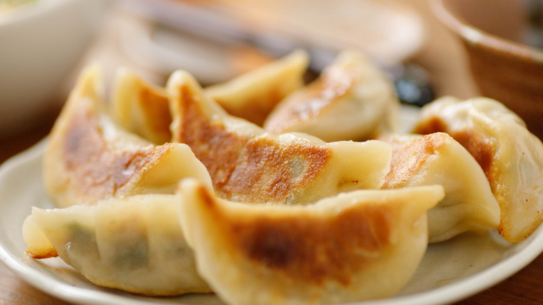 Plate of pan fried dumplings