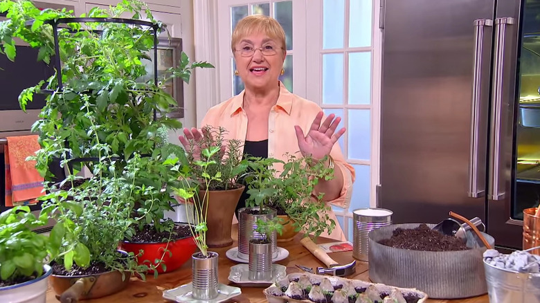 Lidia Bastianich's windowsill garden