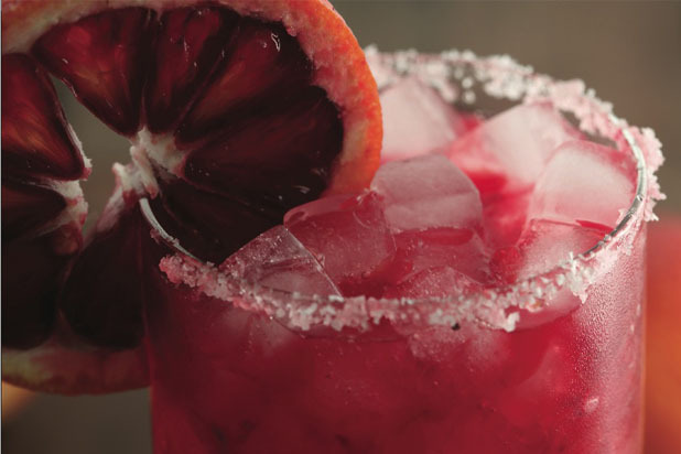 Blood Orange, Ginger Beer, & Tequila Cocktail