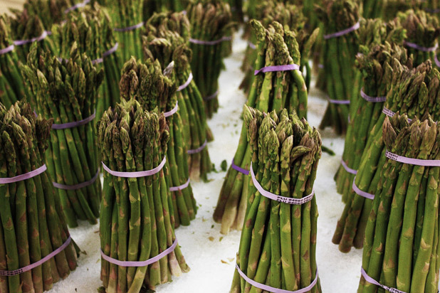 9. Asparagus