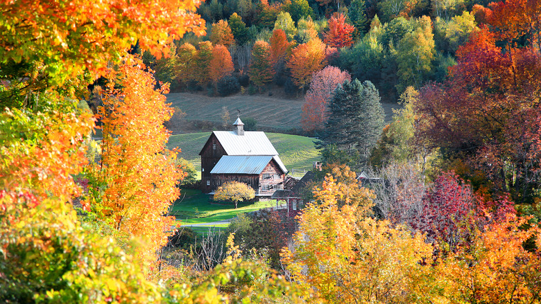 Vermont: 'Leaf-peepers'