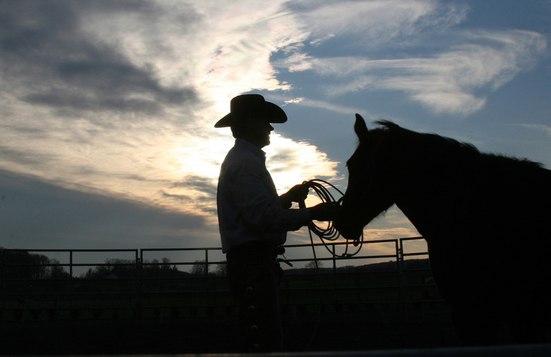 Wyoming:  'Greenies'