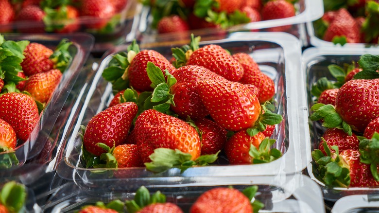 Strawberries in plastic containers