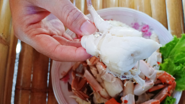 Person holding lump crab