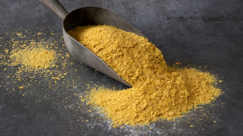 Scoop of nutritional yeast