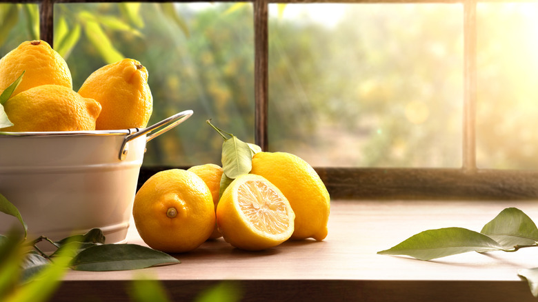 A collection of lemons on a countertop