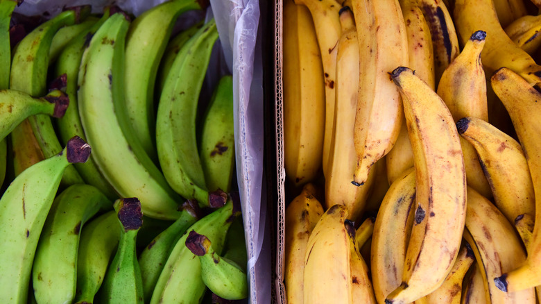 green and yellow plantains in box