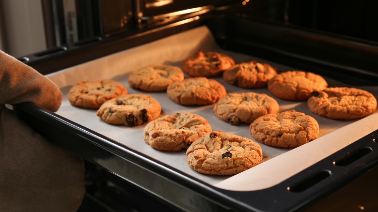 Baking tray with chocolate chip cookies on it