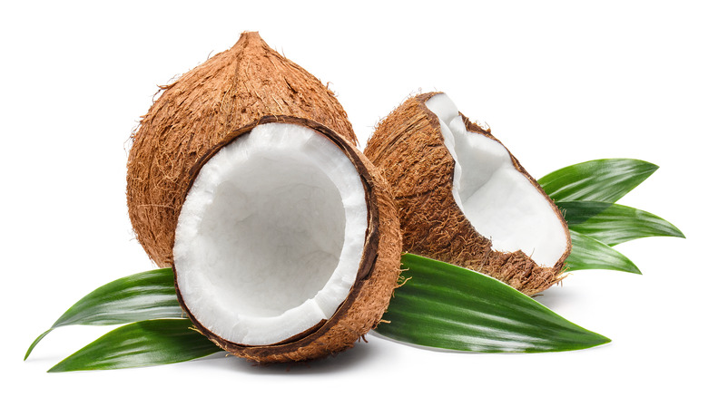 coconuts with green leaf