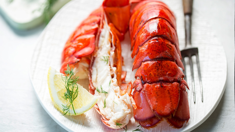 Close up of cooked lobster tail with fork