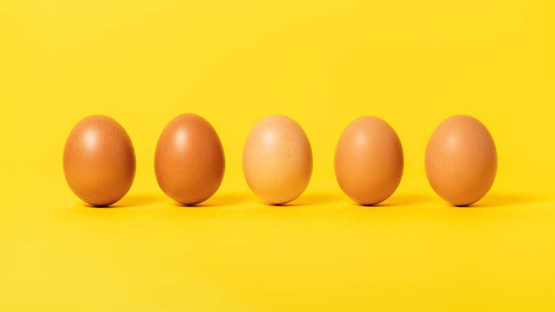 brown eggs on yellow background