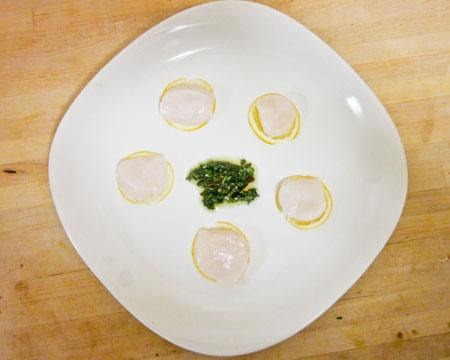 Meyer Lemon Scallop Ceviche