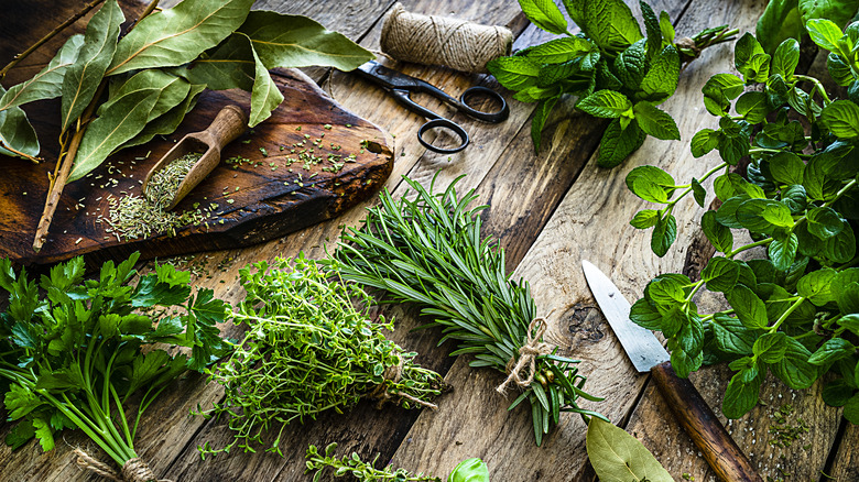 Various types of herbs