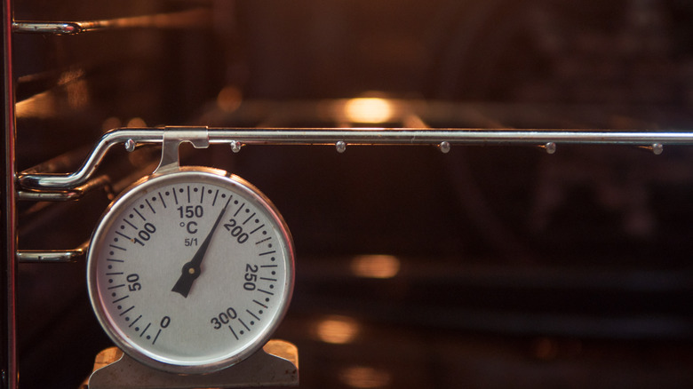 Meat thermometer in oven