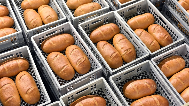 bread loafs in baskets