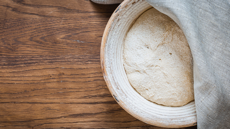 dough in container