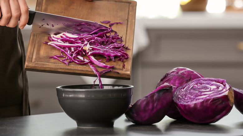 person slicing red cabbage