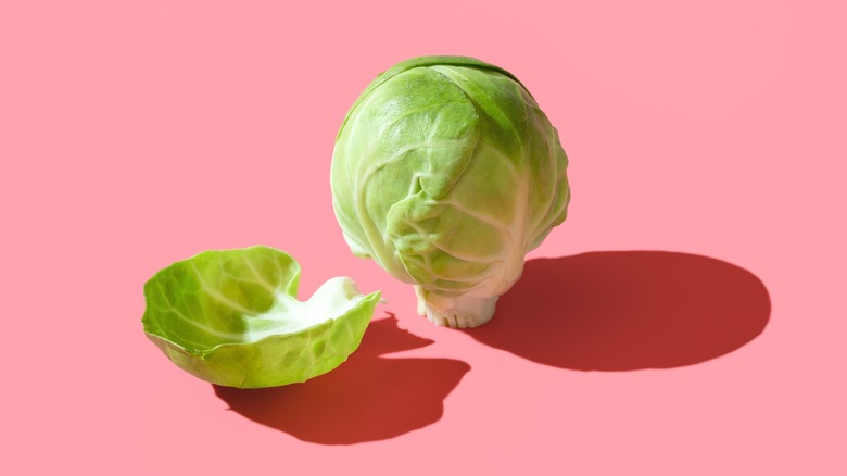 Single Brussels sprout with leaf