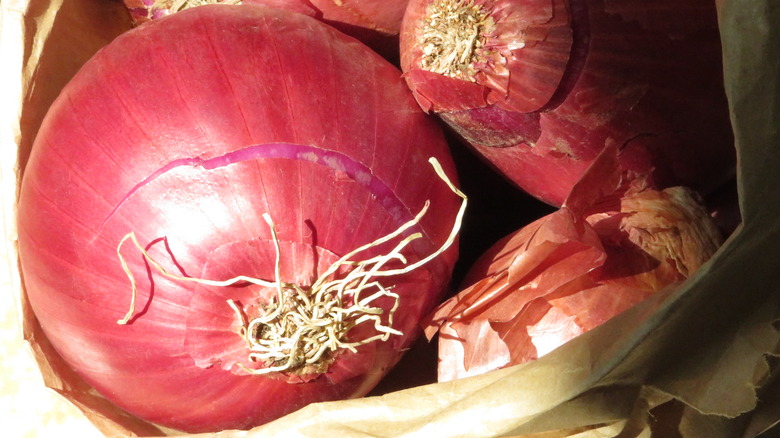 red onions in bag