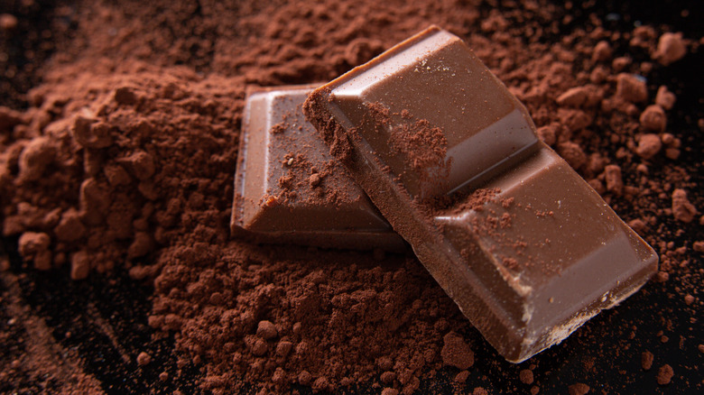 chocolate pieces on cocoa powder