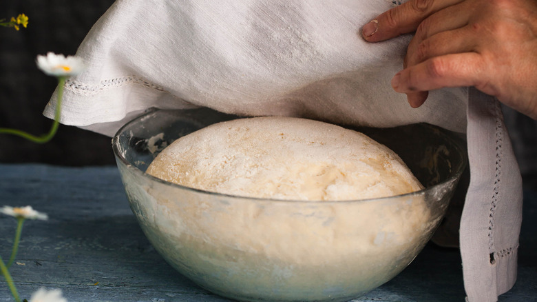 bread dough under a cloth