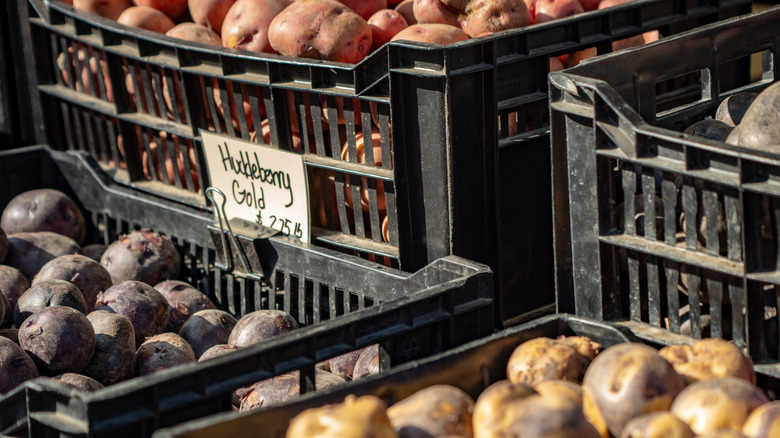 Crates of Huckleberry Gold potatoes