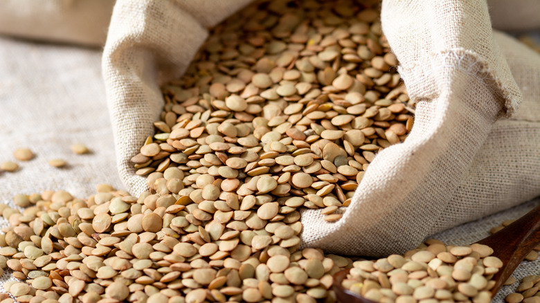 Dry lentils in canvas bag