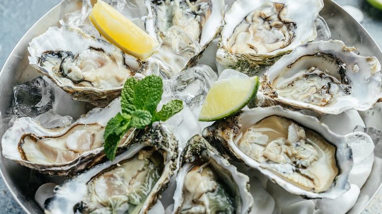 Oysters in shells with citrus