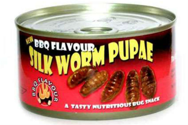 BBQ Silkworm Pupae — Korea, Thailand