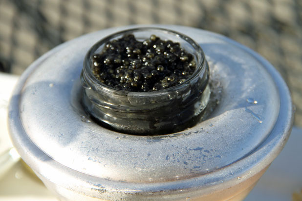 Caviar and Champagne — Domaine Carneros (Napa Valley, Calif.)