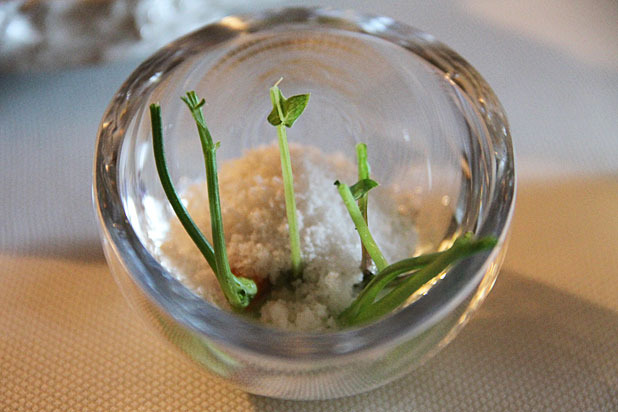 Amuse Bouche — Meadowood (Saint Helena, Calif.)