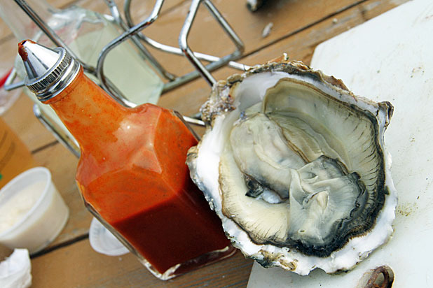 Oysters — Drake's Bay Oyster Co. (Inverness, Calif.)