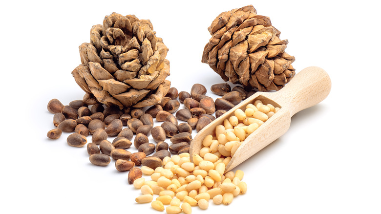 Pine cones and peeled pine nuts white background