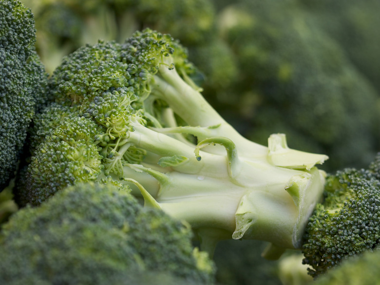 Minnesota: Broccoli