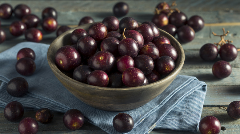 Bowl of muscadine grapes